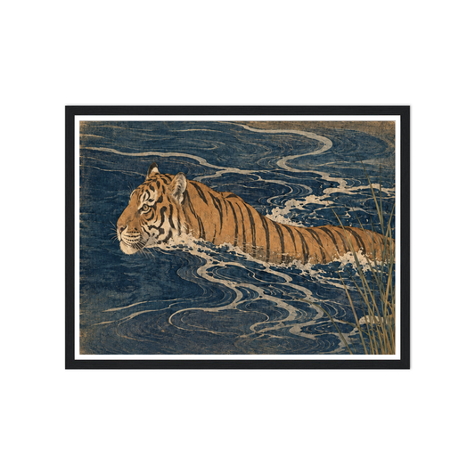 Orange tiger swimming through dark blue water with pale curling ripples in a black frame.
